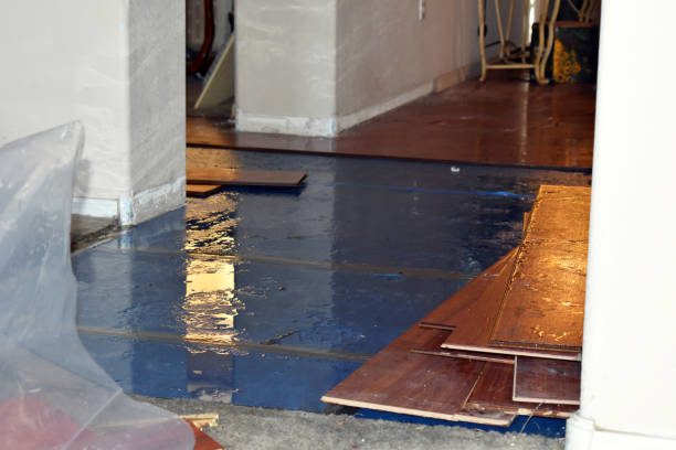 Professional Basement Flood Cleanup technician working in Webberville, MI