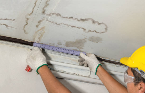 Reliable Basement Flood Cleanup contractor in Webberville, MI by Aqua Guard Water Damage